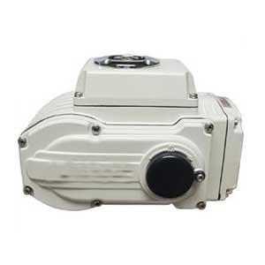 10型-16型電動(dòng)執(zhí)行器